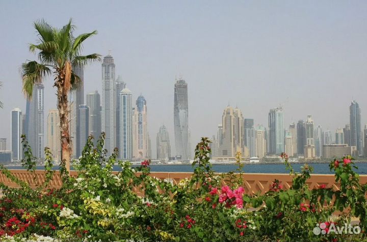 Турне в Dubai на 5 дней