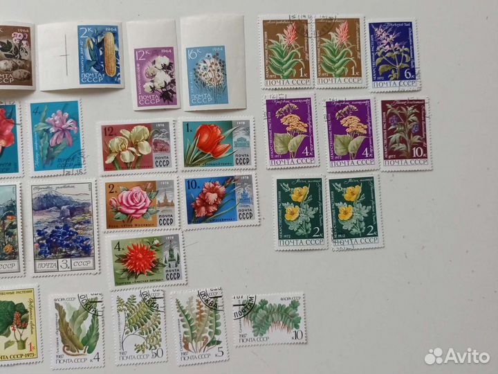 Марки, Флора