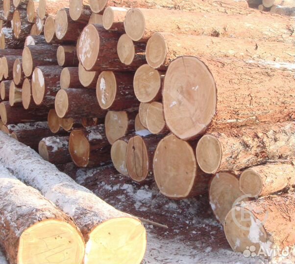 Круглый лес кедр 4 м 6 м