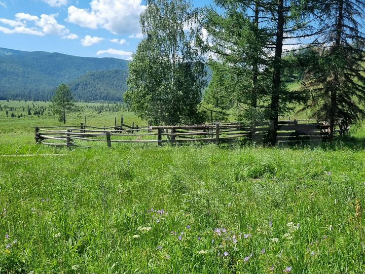 Участок 64 га (СНТ, ДНП)