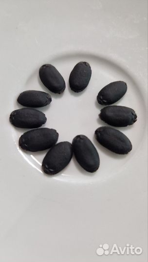 Люфа -мочалка, семена