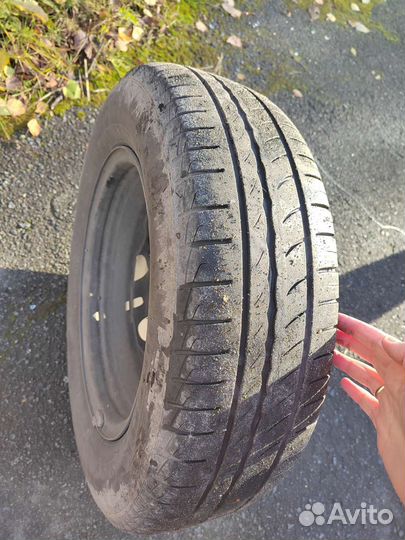 Pirelli Cinturato P1 175/70 R14