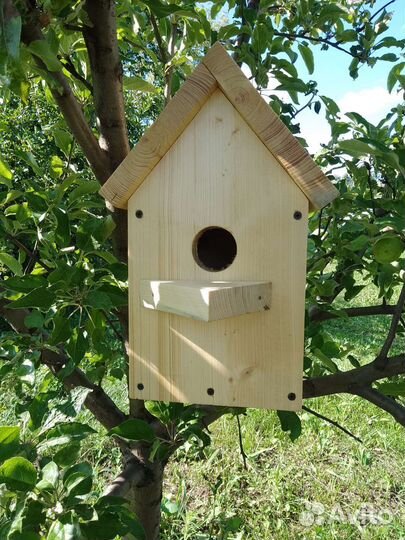 Скварешник