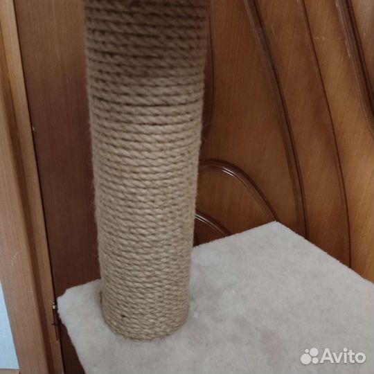 Когтеточка напольная