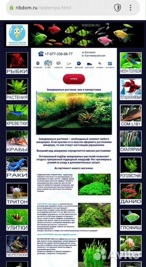 Аквариумные растения филиал Беляево ассортимент