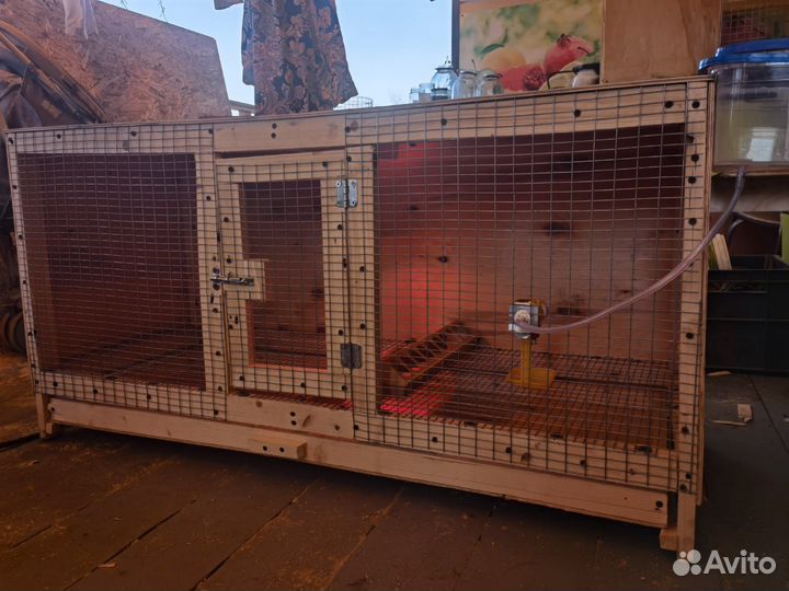 Брудер для цыплят (клетка)