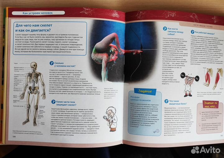 Большая энциклопедия знаний