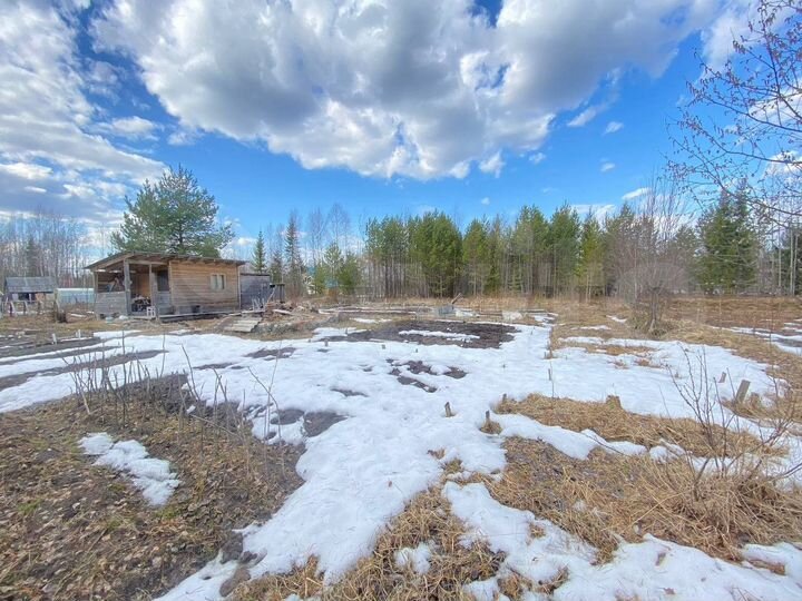 Участок 10,2 сот. (СНТ, ДНП)