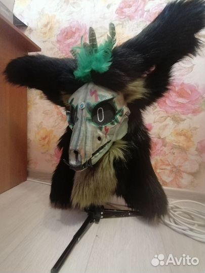 Фурсьют скалл дог