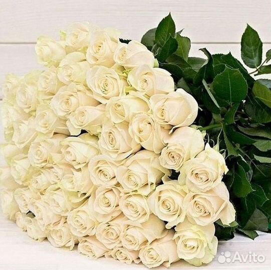 Высокие Розы с Доставкой