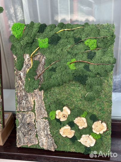 Картина из стабилизированного мха