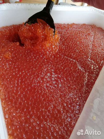 Икра красная