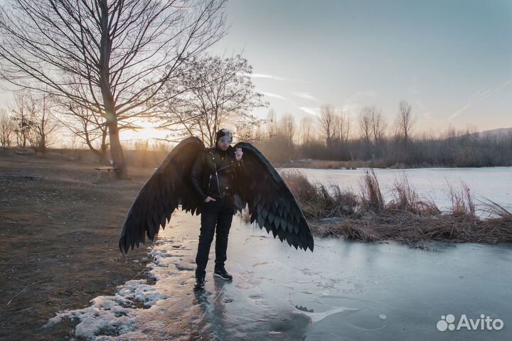 Крылья ангела черные