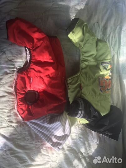 Комбинезон для собаки