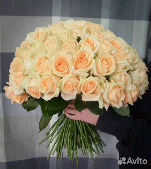 Цветы. Букет. 101 роза 50 см. Доставка