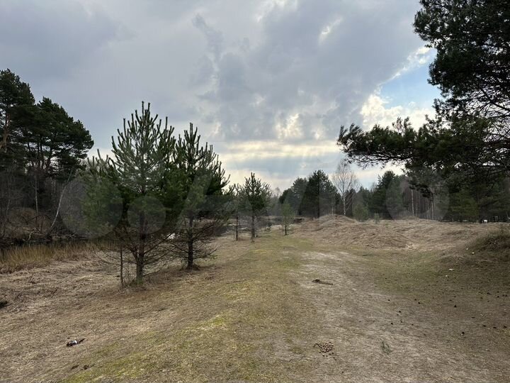 Участок 1,8 га (СНТ, ДНП)