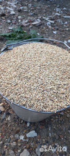 Зерноотходы