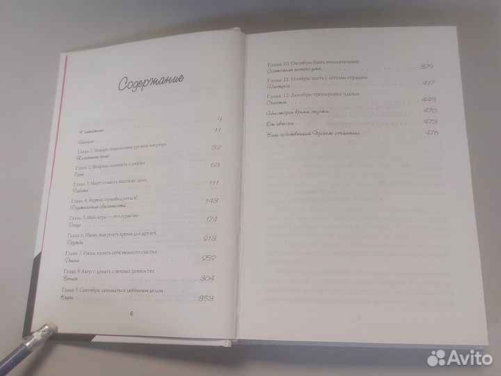 Проект Счастье. Мечты. План. Новая жизнь Рубин Г.К