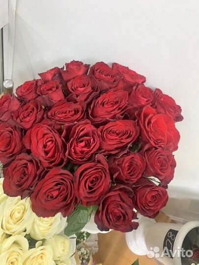 Букеты 25 роз, 51роза, 101роза