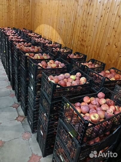 Яблоки флорина