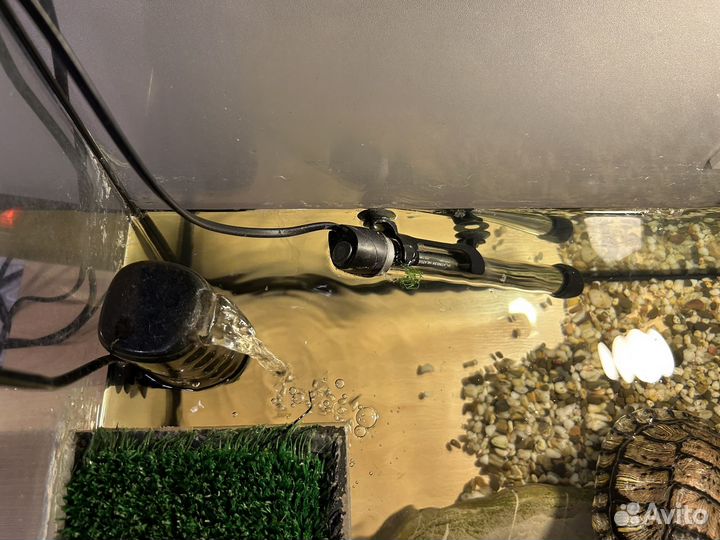 Отдам красноухую черепаху с аквариумом