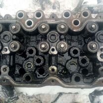 ❤︎ The NEW 2024 Kawasaki anniversary edition 40th anniversary