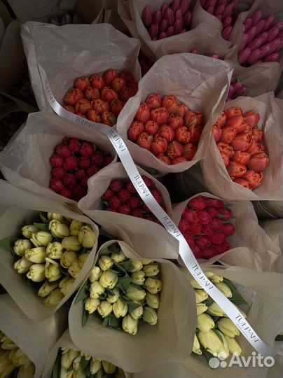 Тюльпаны оптом и в розницу к 8 марта