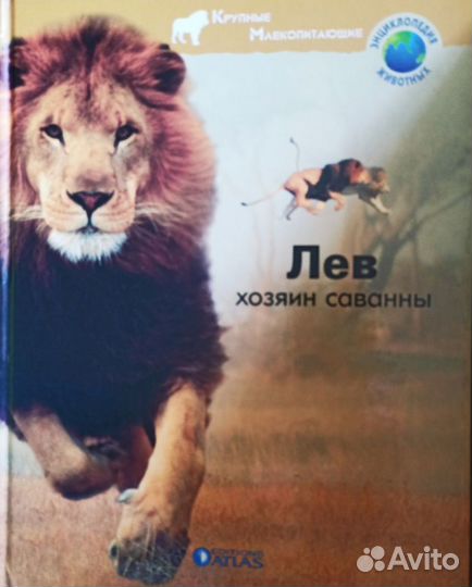 Книги пакетом