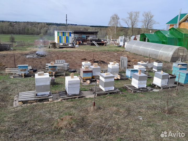 Кассетный павильон для пчёл на 32 пчелосемьи