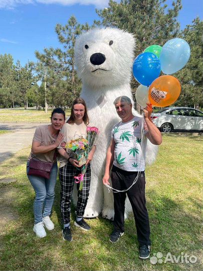 Большой белый мишка Анимация Мишка на праздник