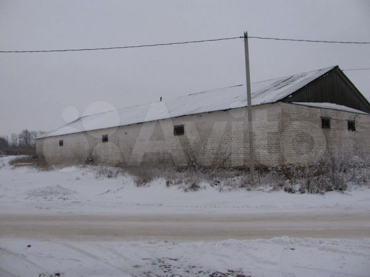 Участок 60 сот. (ИЖС)