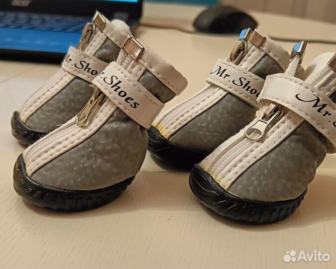 Ботинки для собаки