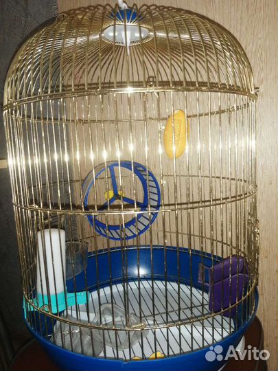 Клетка для грызунов и птиц бу