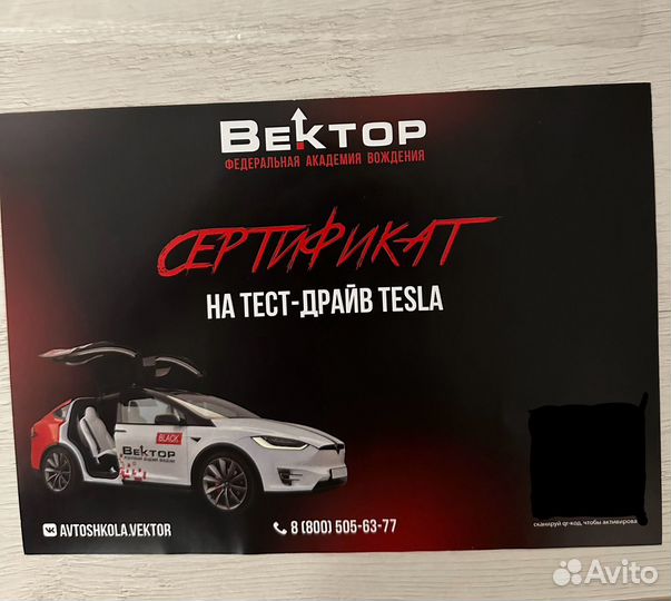 Сертификат вектор