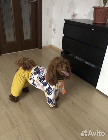 Комбинезон для собаки