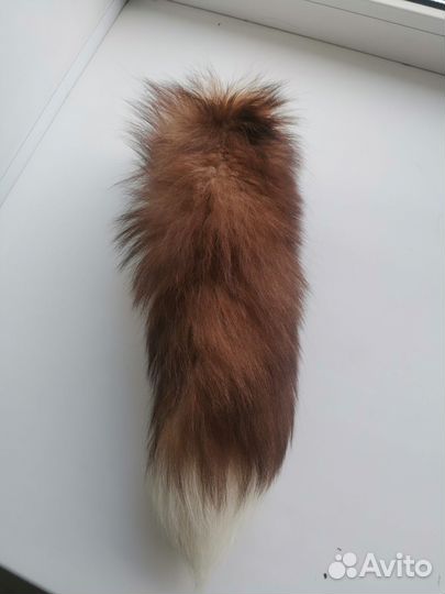 Лисий хвост