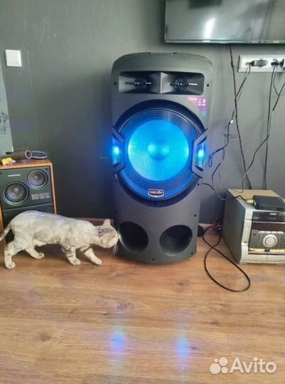 Аренда прокат колонки