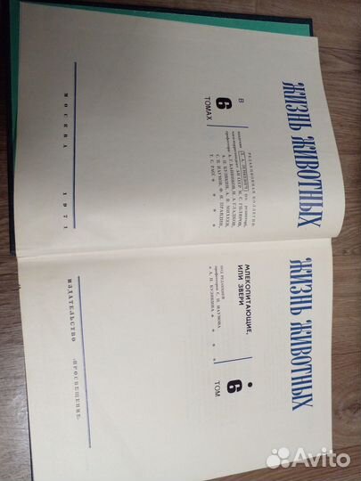 Жизнь животных