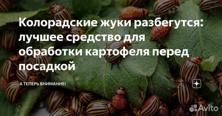 Престиж протравитель