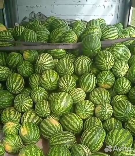 Арбузы