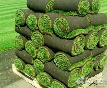 Гидропосев