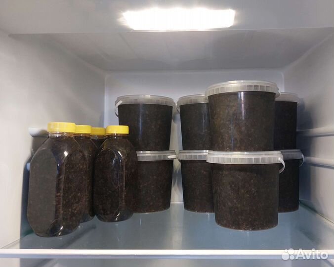 Трепанг с мёдом