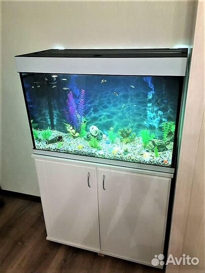 Аквариум