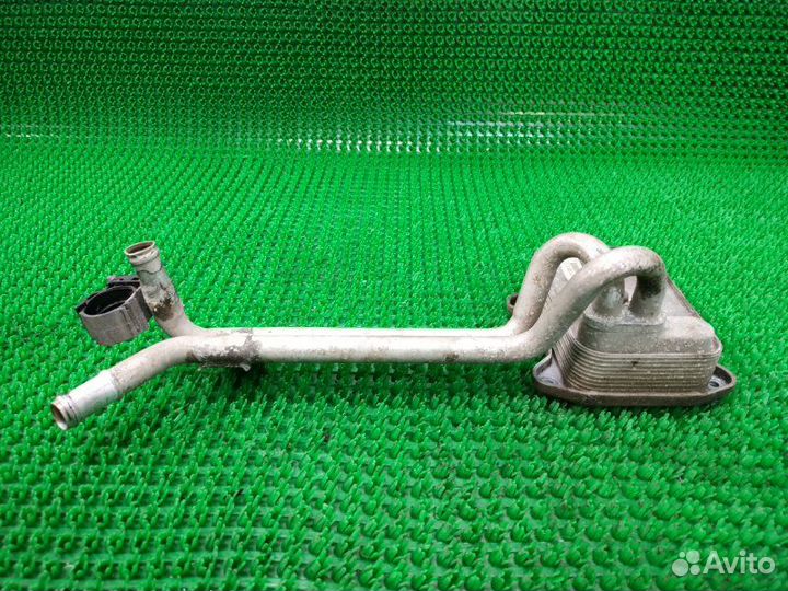 Радиатор масляный Volkswagen Golf Plus 5 caxa 2012