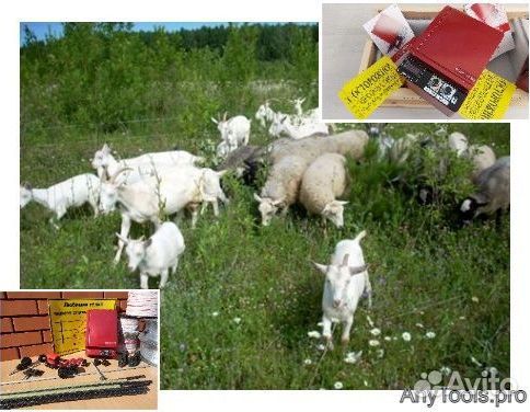 Электропастух