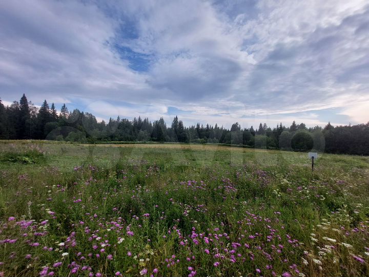 Участок 30 сот. (ИЖС)