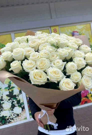 Розы, букет цветов 51 шт