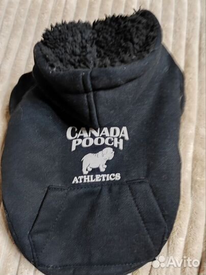 Одежда для собак мелких пород