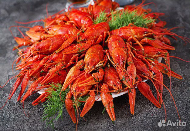 Крабы, креветки, раки