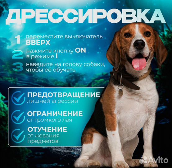 Ультразвуковой отпугиватель собак